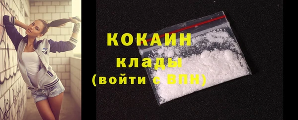 шишки Аркадак