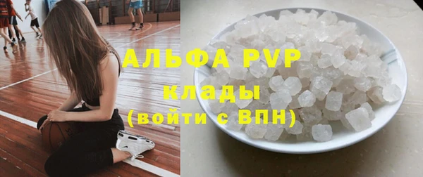 шишки Аркадак