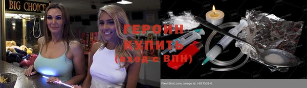 шишки Арсеньев