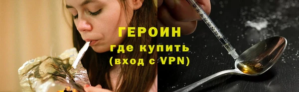 шишки Арсеньев