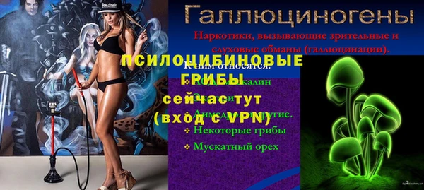 каннабис Корсаков