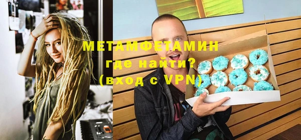 шишки Аркадак