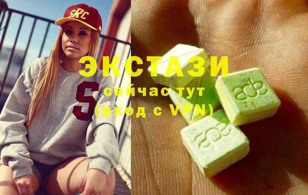 шишки Аркадак