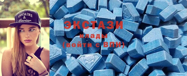 шишки Аркадак