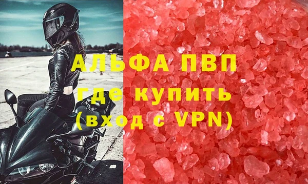 шишки Аркадак