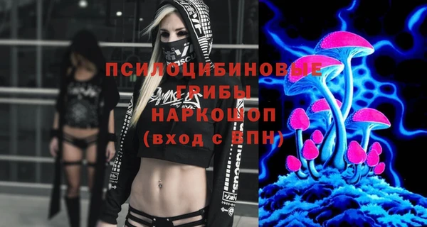 метадон Алексин