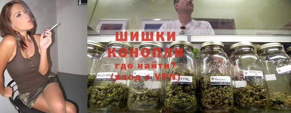 шишки Аркадак