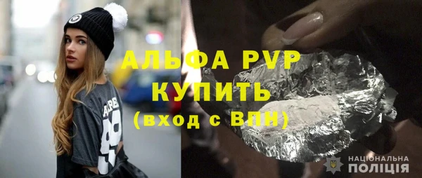 шишки Арсеньев