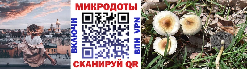 Галлюциногенные грибы Magic Shrooms  hydra tor  Судогда 